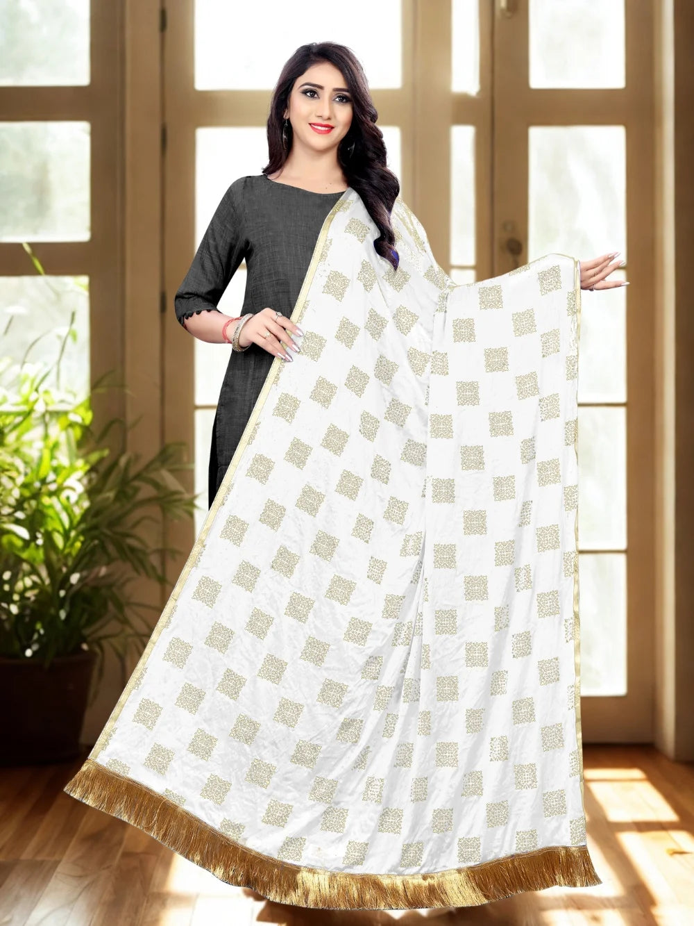 White Embellished Chiffon Dupatta