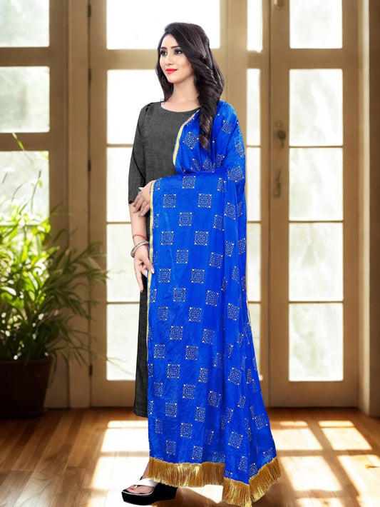 Blue Embellished Chiffon Dupatta